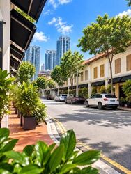 Little India Conservation Area (D8), Shop House #614432221